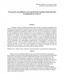 Vivencia de un publicista en la ejecución de trabajo remoto durante la pandemia de Covid-19