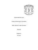 Porte legal de armas