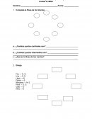 Actividad Formativa y Guía de Aprendizaje