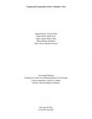 Comparación Ergonómica Entre Colombia y Perú