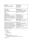 Resumen ejecutivo Fundas Mexican S.A