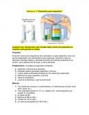 Práctica no. 2 “Densidad y peso específico”