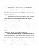 El voleibol-aspectos psicológicos