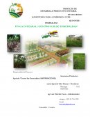 Proyecto de desarrollo productivo integral y de seguridad alimentaria para la parroquia Cube, cantón Quininde, provincia Esmeraldas
