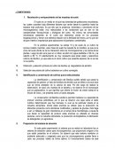 Recolección y enriquecimiento de las muestras de suelo