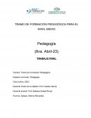 Tramo de formación pedagógica para el nivel medio