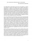 Breves comentarios sobre el liderazgo de equipos en la vida profesional