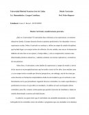 Diseño Curricular, consideraciones generales