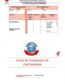 Plan de cuidados en enfermeria