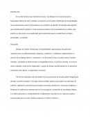 La Cumbre Global para la Sostenibilidad: Transformando el Mundo hacia un Futuro Prometedor