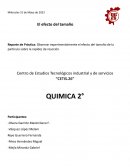 Reporte de Práctica: Observar experimentalmente el efecto del tamaño de la partícula sobre la rapidez de reacción