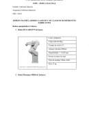 Ejemplos de robots manipuladores