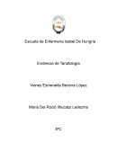 Cartas de amor a las muertos