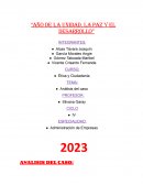 Manual de organizacion y funciones. Análisis del caso