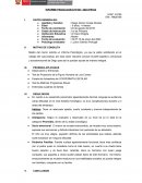 Informe psicologico.Observación y Entrevista