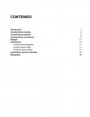 Informe sobre el Imperio Incaico