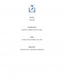Estructura química del ADN