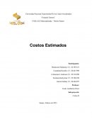 Costos Estimados