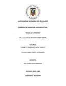 Producción de materia prima animal