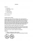 Plan de Clase Matemática