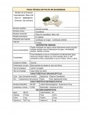 Ficha técnica Pulpa de Guanábana “More Life”