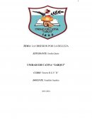 La obsesión por la belleza