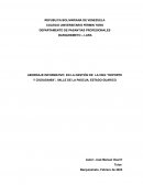 Abordaje informativo en la gestión de la ong “deporte y ciudadanía”