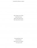 Actividad Final: Máximos y mínimos