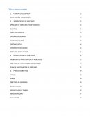 Plan de Marketing. Lavadora de autos