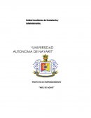 Miel de agave agronegocios