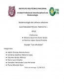 Biotecnología de cultivos celulares