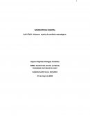 Informe: matriz de análisis estratégico