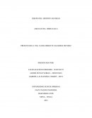 Diseño del distrito de riego hidrauilica