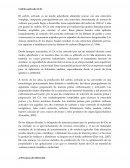 Carbón activado (CA)