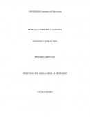 Medicina veterinaria y zootecnia. Ensayo de cultura visual