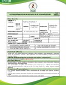 Informe de Resultados de aplicación de la Guía de Prácticas
