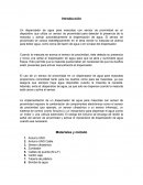 La implementación de un dispensador de agua para mascotas