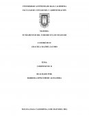 Fundamentos del turismo en los negocios. Burger King