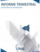 Informe de encuesta de satisfacción