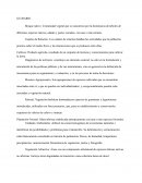 Mapa Final de Rioverde