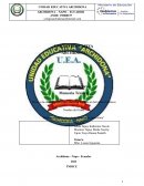 Elaboración de la lasaña a base de masa de papa china