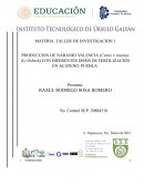 Produccion de naranjo valencia