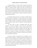 Análisis de Riesgos en la Producción Primaria