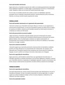 Teoría del hemisferio dominante