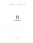 Informe de laboratorio: ondas estacionarias