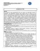 Pensamiento filosófico