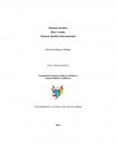 Sistema Jurídico. Bien Común