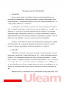 Psicoterapia de Wilhelm Reich