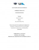 Modelo de arbol de problemas