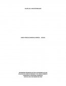 Causas de la insostenibilidad